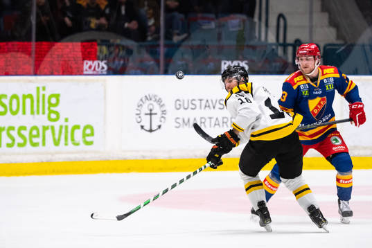 Brynäs Anton Rödin