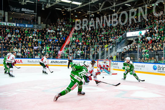 Rögles Dominik Bokk
