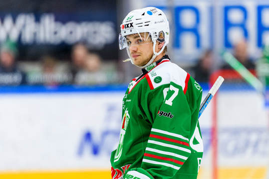 Rögles Leon Bristedt