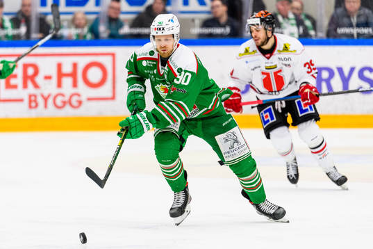 Rögles Ted Brithén