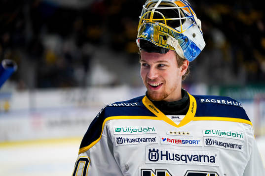 Hv71s målvakt Hugo Alnefelt
