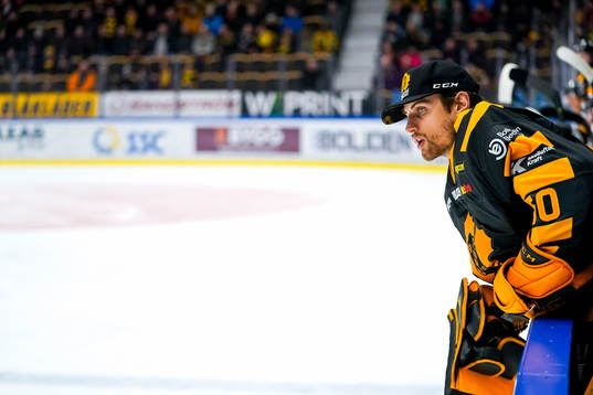 Skellefteås målvakt Mantas Armalis