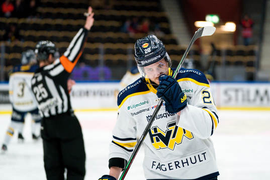 Hv71s Linus Sandin deppar