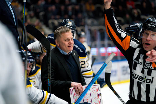 Hv71s tränare Stephan Lundh
