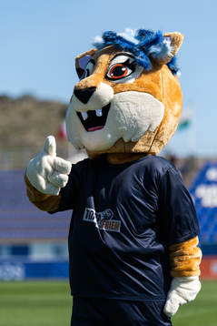 The mascot (yet to be named) of Toppserien