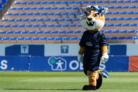 The mascot (yet to be named) of Toppserien