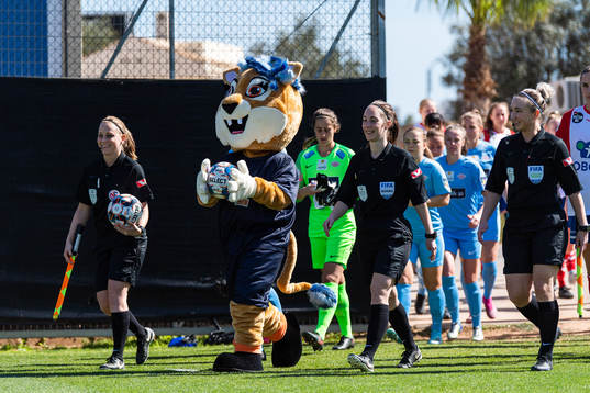 The mascot (yet to be named) of Toppserien