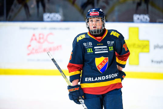 Djurgårdens Lova Blom