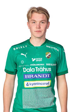 Ljungskiles Teodor Wålemark