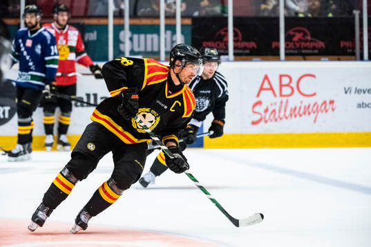 Brynäs Anton Rödin