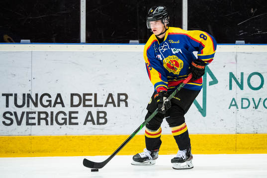 Brynäs Victor Söderström