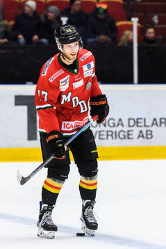 Brynäs Josef Ingman