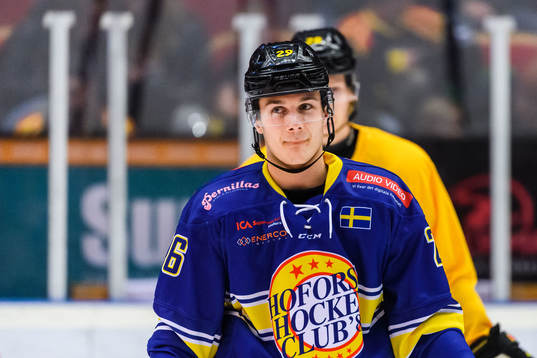 Brynäs Oscar Birgersson