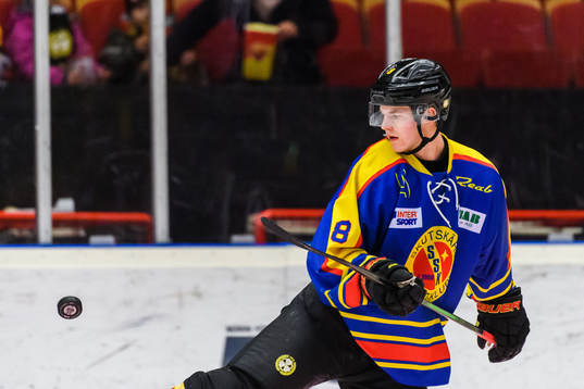 Brynäs Victor Söderström