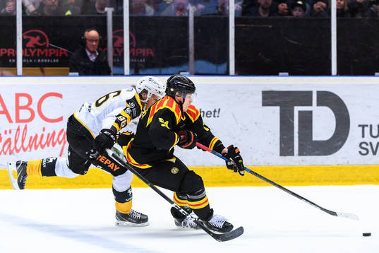 Skellefteås Rickard Hugg och Brynäs Tomi Sallinen