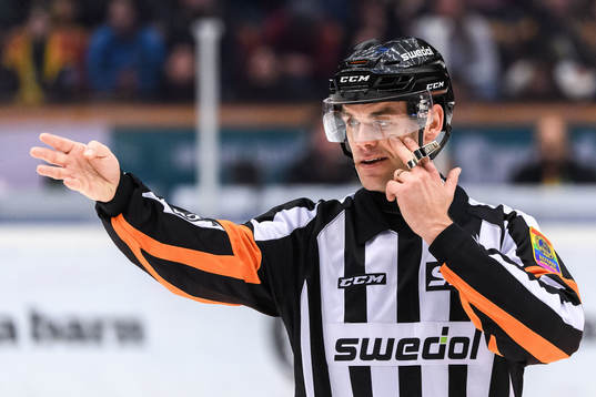 Domare Richard Magnusson