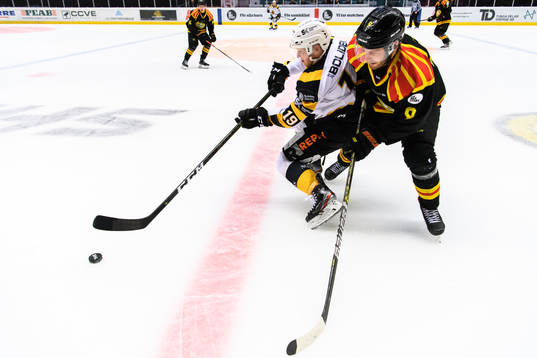 Skellefteås Tuomas Kiiskinen och Brynäs Niclas Andersén