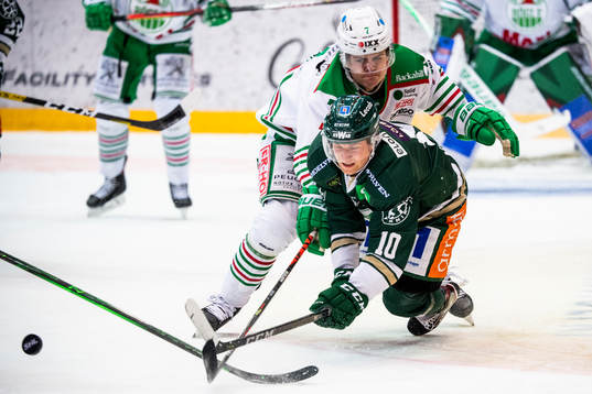 Bläddra bland fler bilder av Ishockey, SHL, Färjestad - Rögle