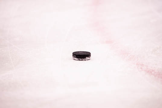 En hockeypuck