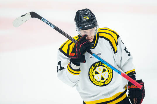 Brynäs Tomi Sallinen