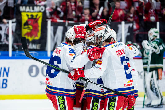 Malmö Redhawks spelare jublar