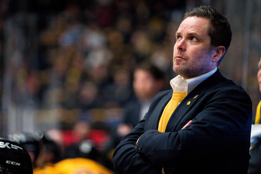 Skellefteås assisterande tränare Stefan Hedlund