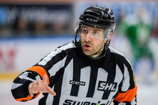 Domare Mikael Sjöqvist
