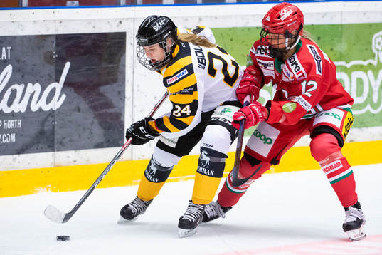 Bläddra bland fler bilder av Ishockey, Playoff till SDHL, Modo - Skellefteå