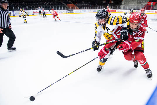 Skellefteås Janka Hlinkova och Modos Erica Rieder