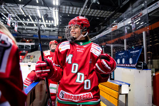 Modos Daniela Pejsova jublar