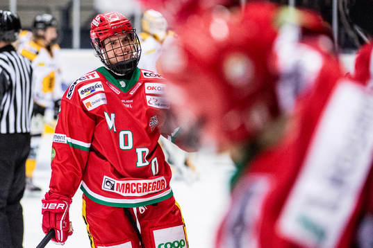 Modos Gracen Hirschy jublar