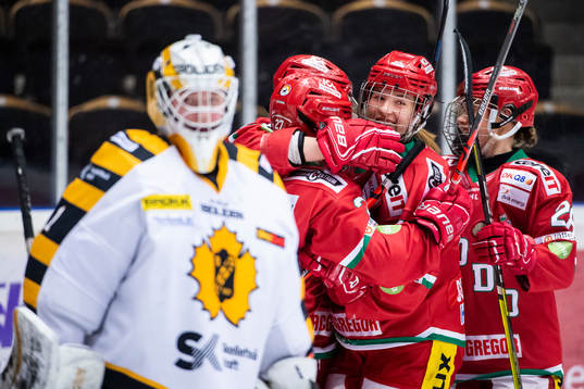 Modospelare jublar bakom Skellefteås målvakt Miranda