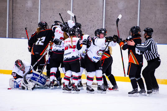 Stökigt framför Malmö Redhawks mål