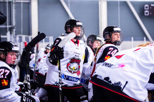 Spelare från Malmö Redhawks