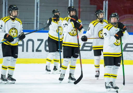 Brynäs Erika Grahm deppar