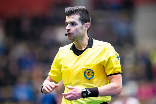Domare Enzo Vesprini