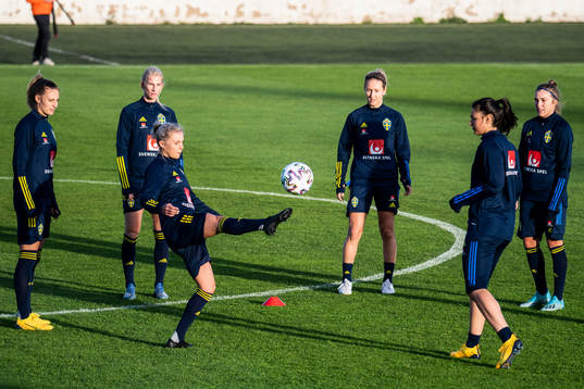 Players of Sweden