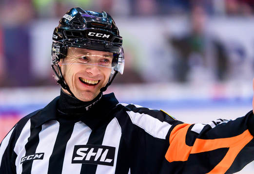 Domare Mikael Andersson