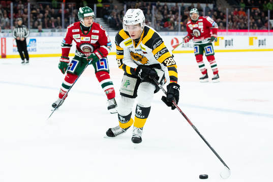 Skellefteås Albin Sundsvik