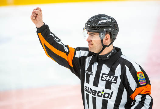Domare Richard Magnusson