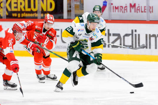 Oliwer Fjellström och Linus Nässén jagar Björklövens
