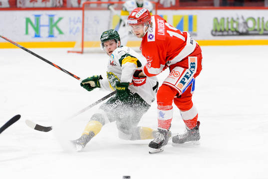 Björklövens Adam Plant och Timrås Tobias Lindberg