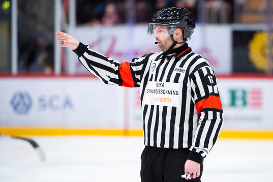 Domare David Bergman