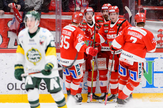 Spelarna i Timrå jublar