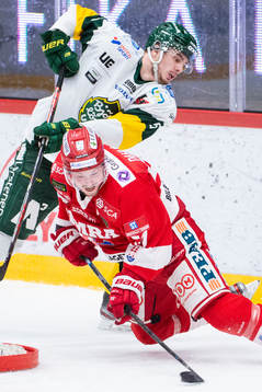 Björklövens Hardy Häman Aktell och Timrås Jonathan