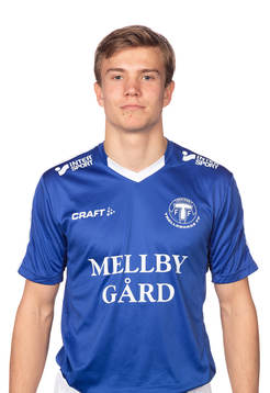 Trelleborgs Niklas Vesterlund