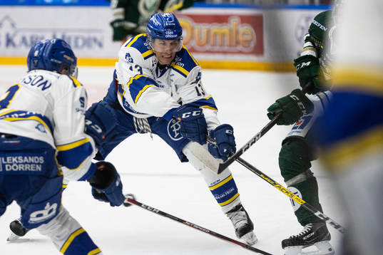 Leksands Jon Knuts