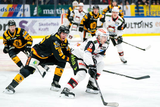 Skellefteås Rickard Hugg