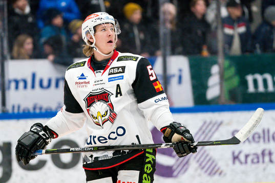 Malmö Redhawks Emil Sylvegård