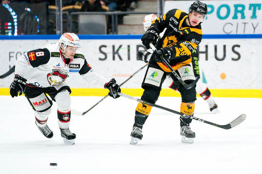 Skellefteås Anton Holm